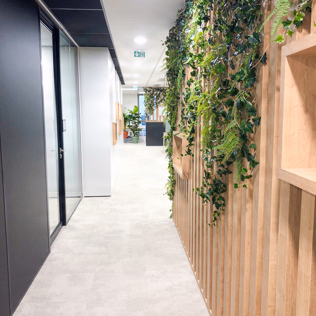 Cloisons végétales en entreprise: intégrer nature et contraintes techniques