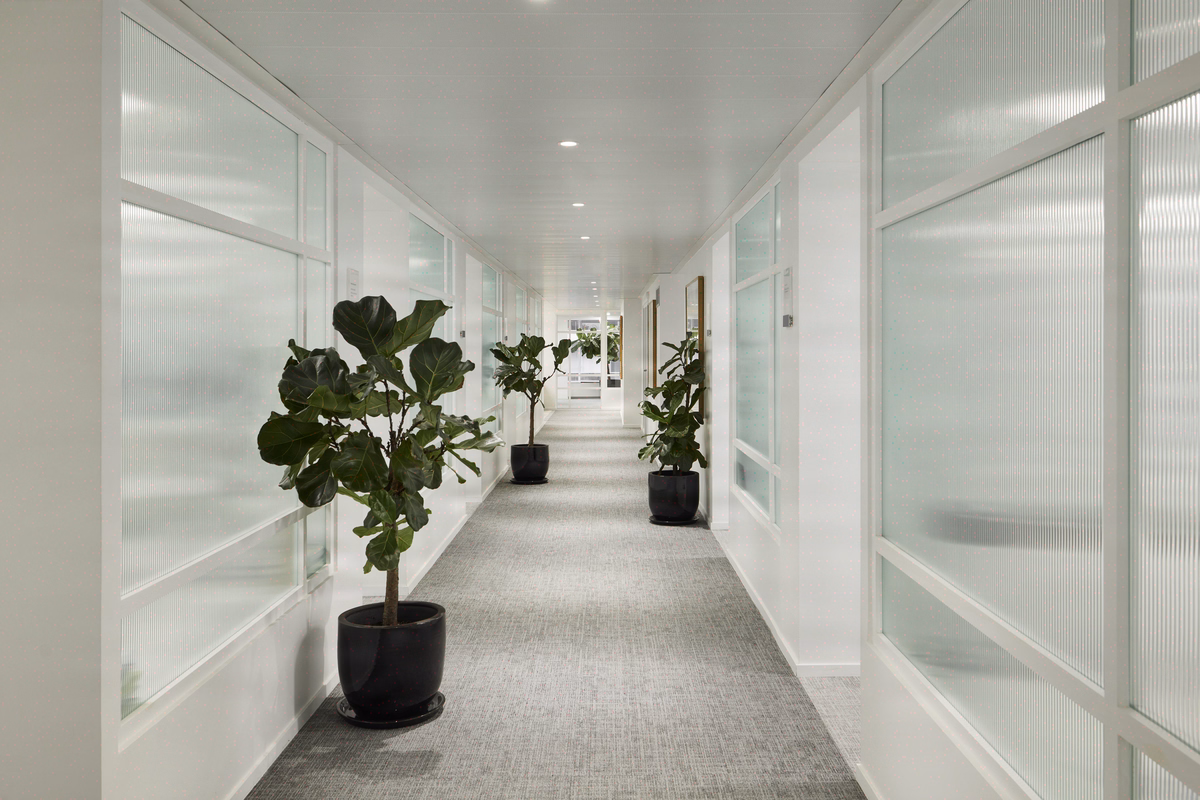 Éclairage scénographique pour bureaux: créer une mise en scène lumineuse immersive
