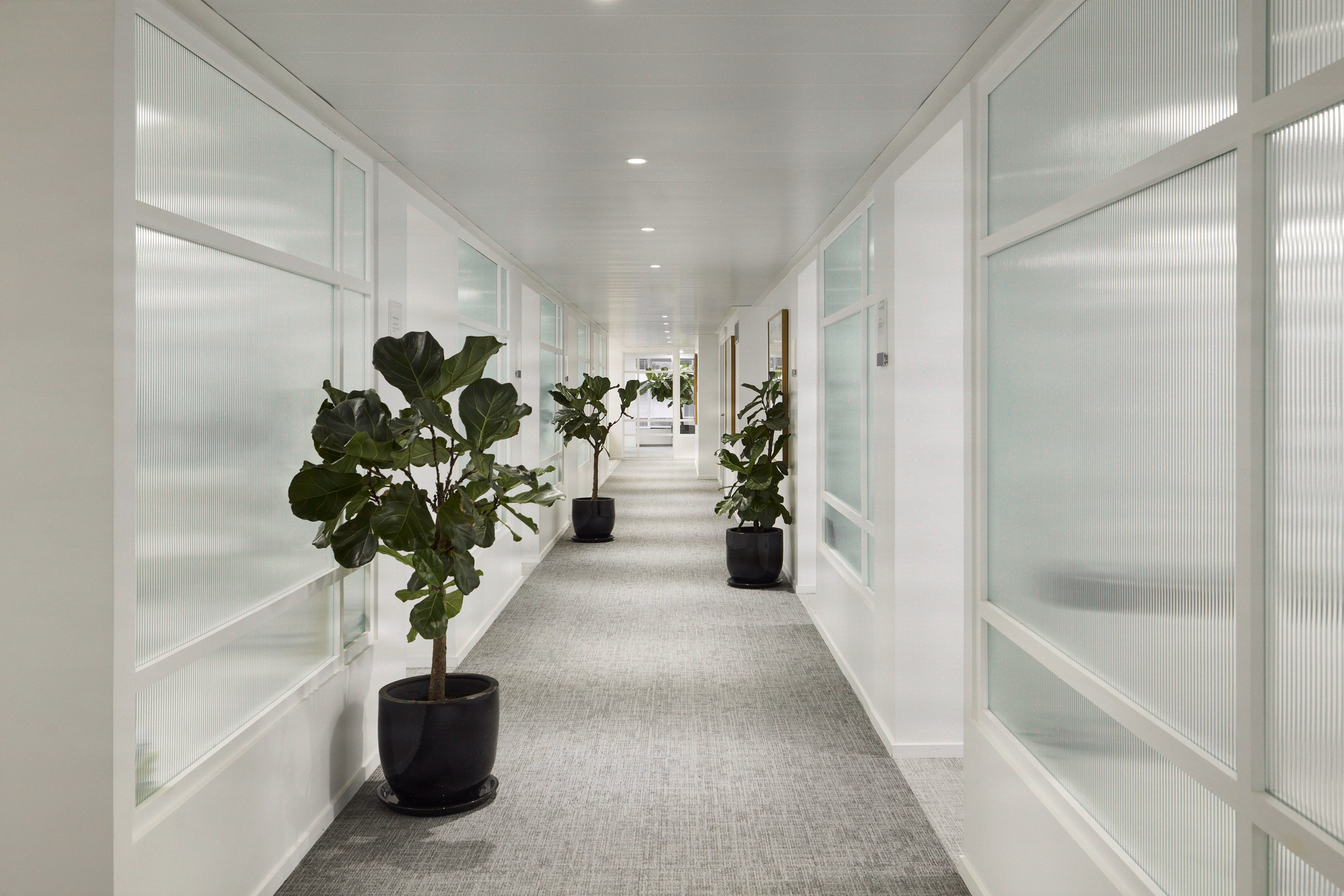Éclairage scénographique pour bureaux: créer une mise en scène lumineuse immersive — KYTOM
