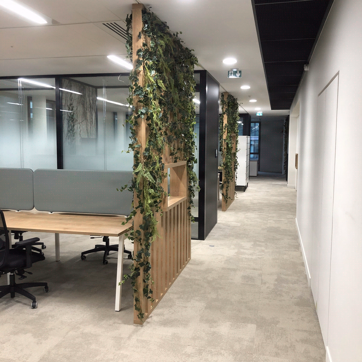 open-space - Naldeo - Lyon - 2025