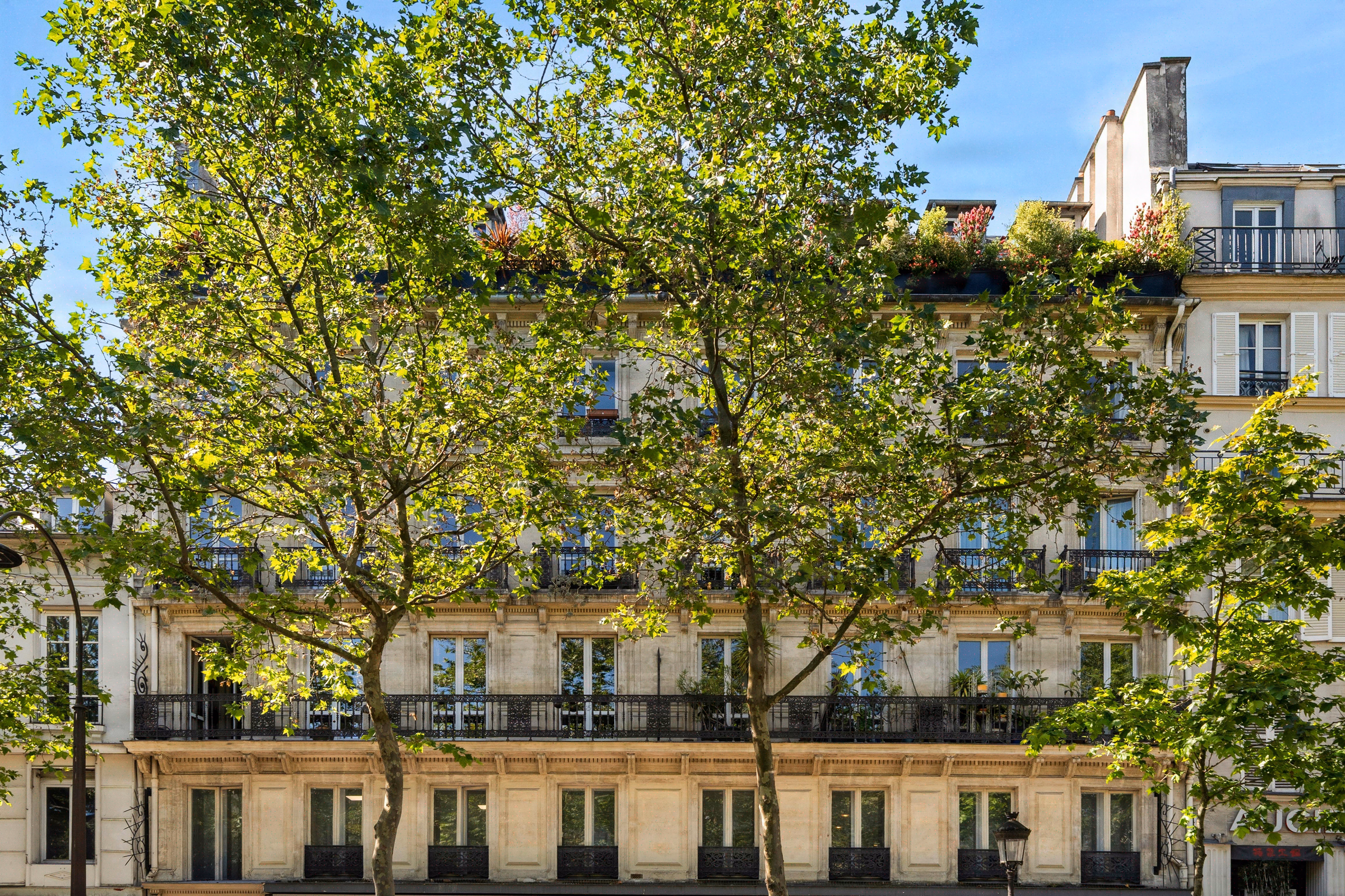 Neat - Paris - 2026