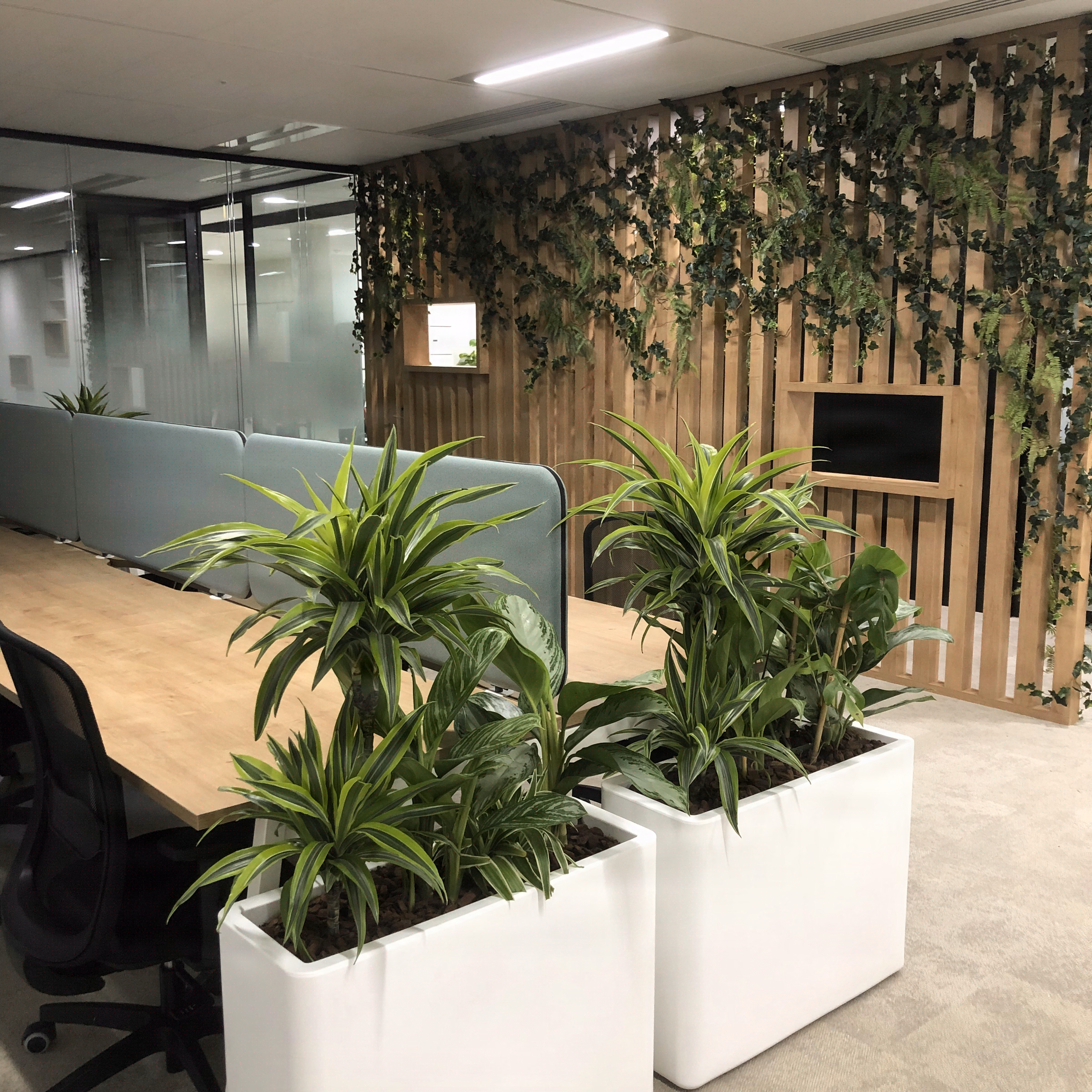 open-space - Naldeo - Lyon - 2025