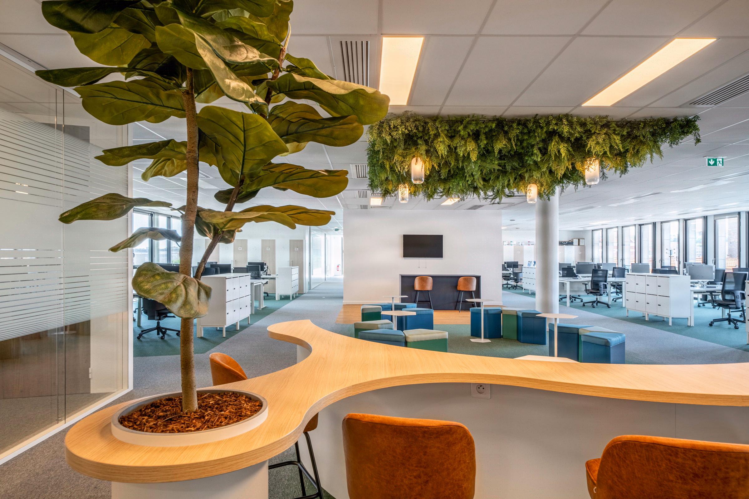open-space - Zentiva - Paris - 2025